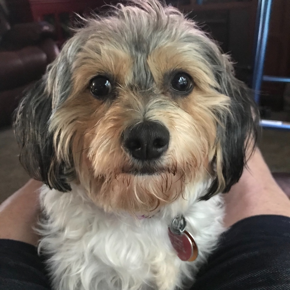 Meet your Posher, Kati